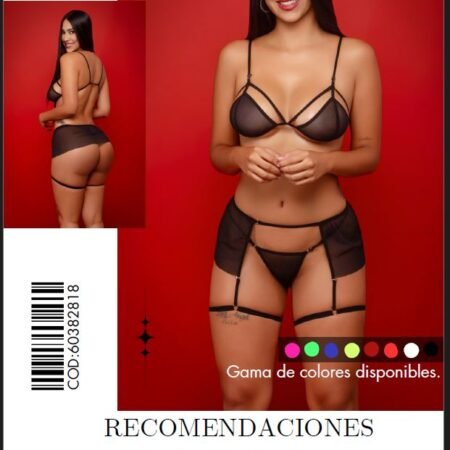 Conjunto de Lencería TS15 Negro con Transparencias y Liguero