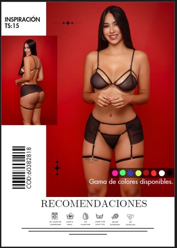 Conjunto de Lencería TS15 Negro con Transparencias y Liguero